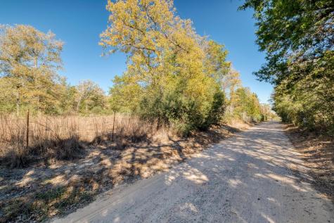 000 Dunbar Road (Tract 3) Road Mcdade TX 78650