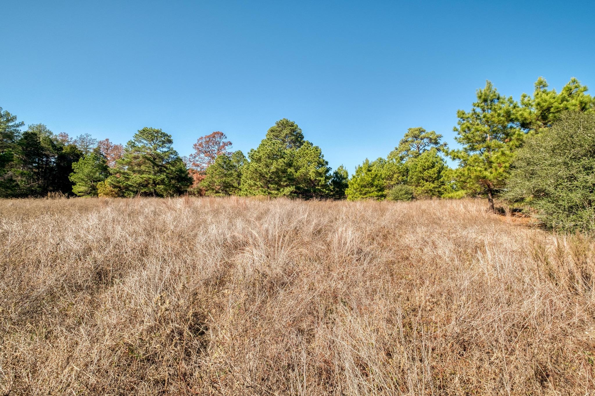 000 Dunbar Road (Tract 3) Road Mcdade TX 78650