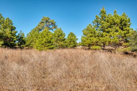 000 Dunbar Road (Tract 3) Road Mcdade TX 78650
