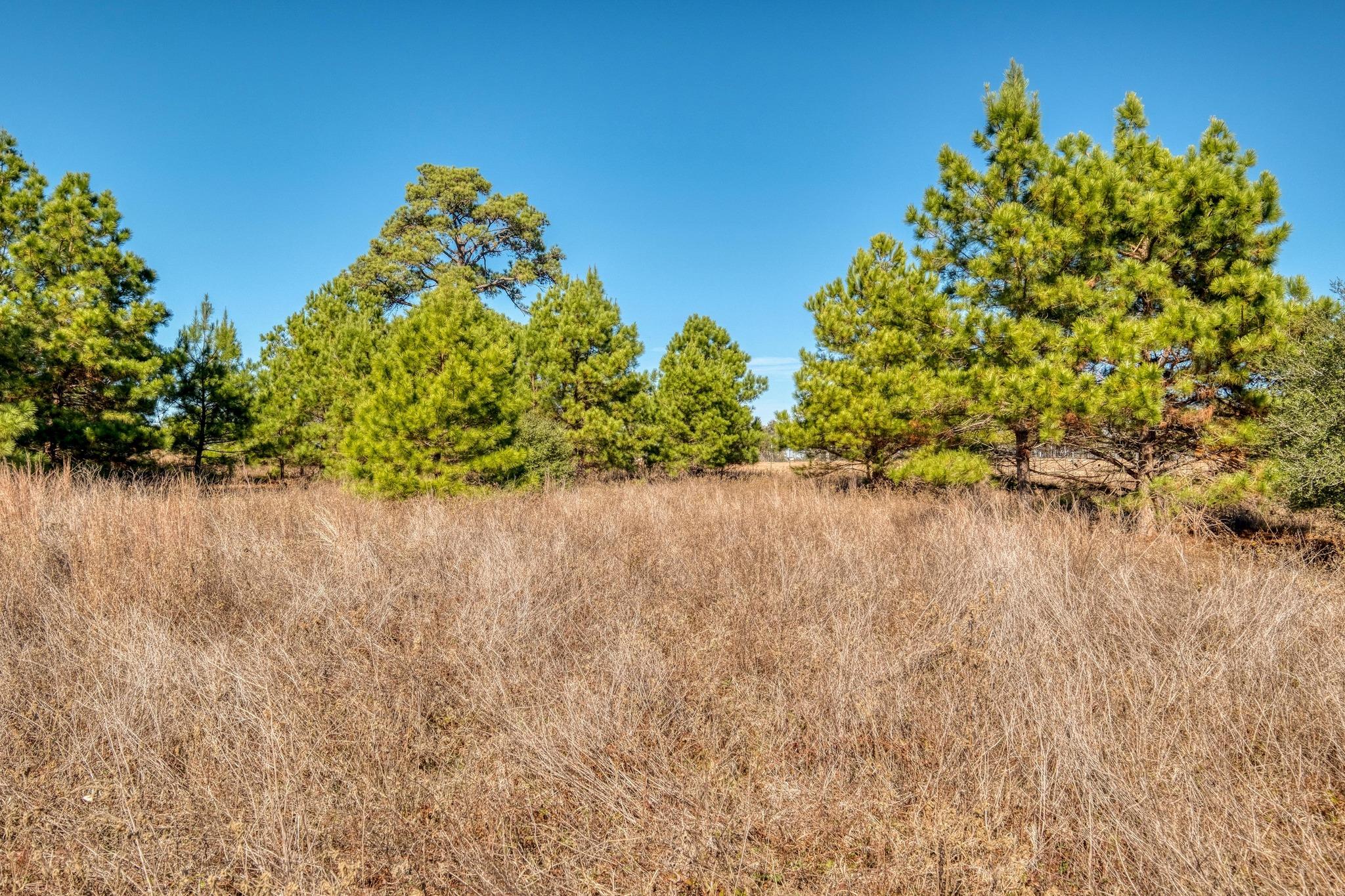 000 Dunbar Road (Tract 3) Road Mcdade TX 78650