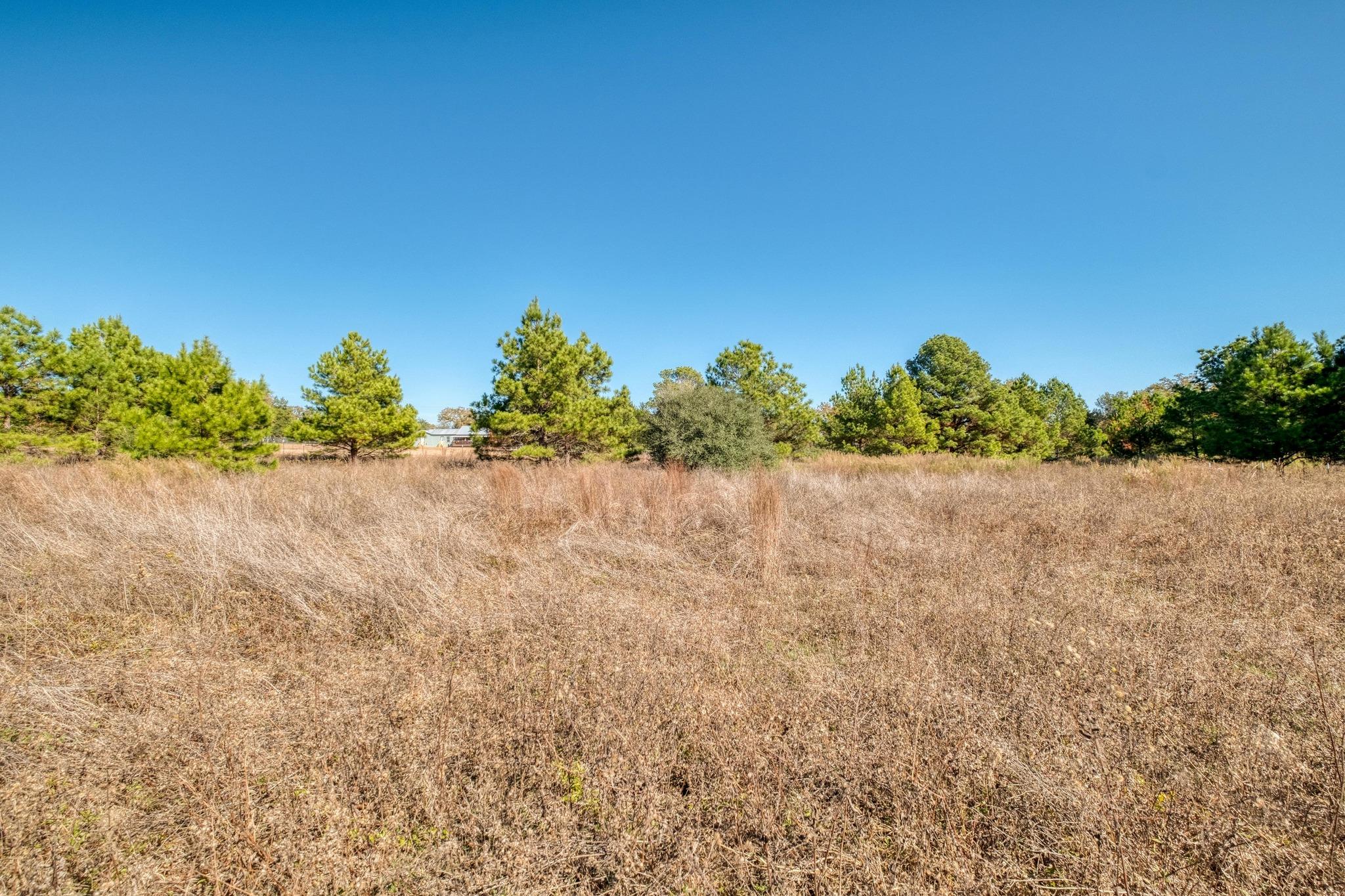 000 Dunbar Road (Tract 3) Road Mcdade TX 78650