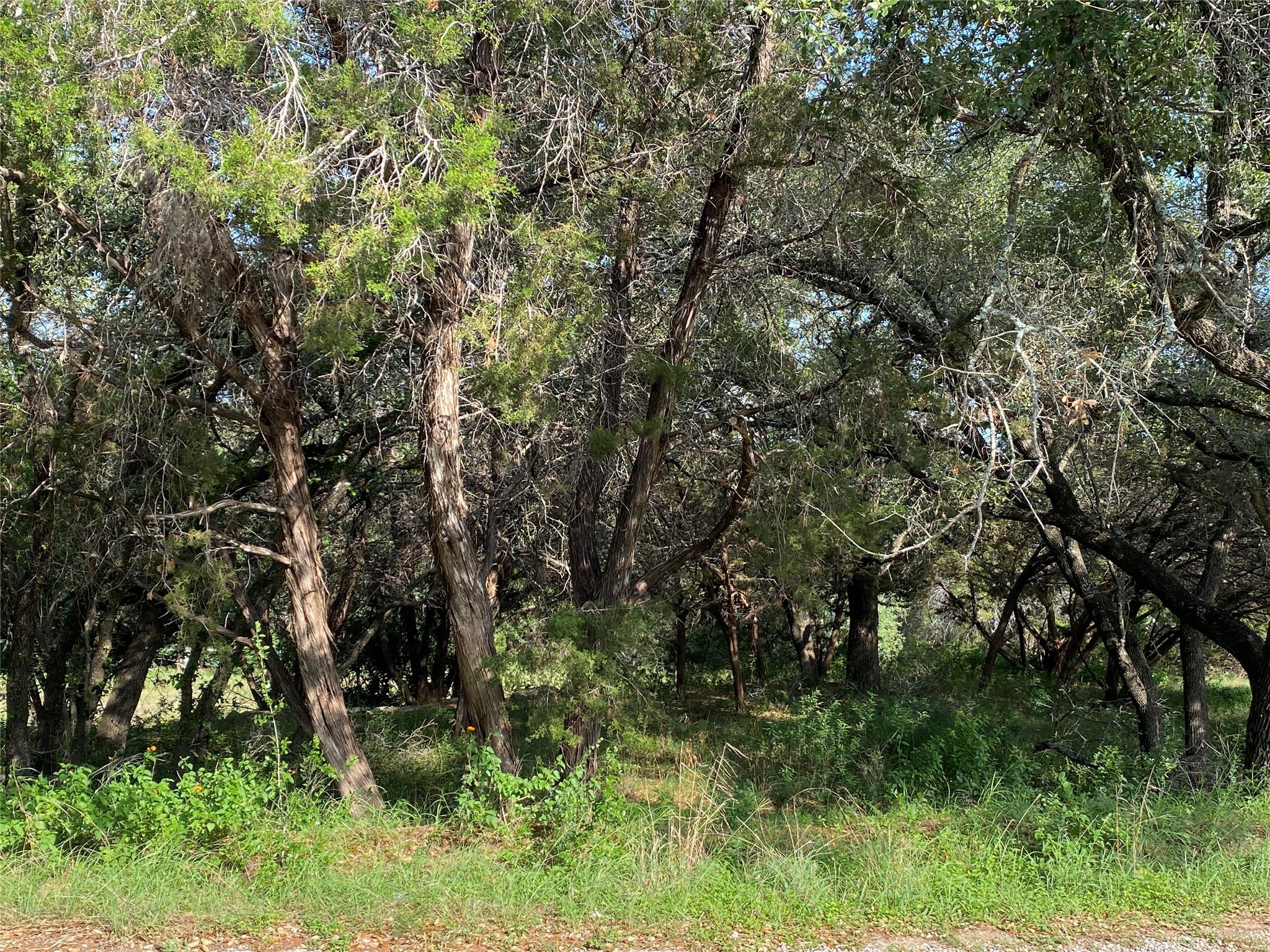 1401 Sharps Road Austin TX 78734