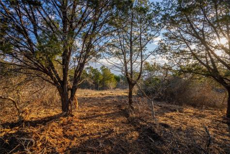 Tbd Sawtooth Drive Bertram TX 78605