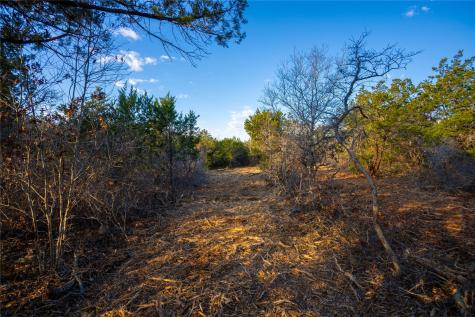 Tbd Sawtooth Drive Bertram TX 78605