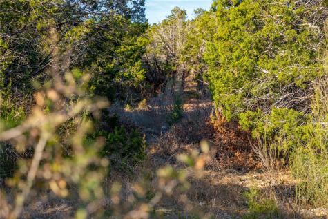Tbd Sawtooth Drive Bertram TX 78605