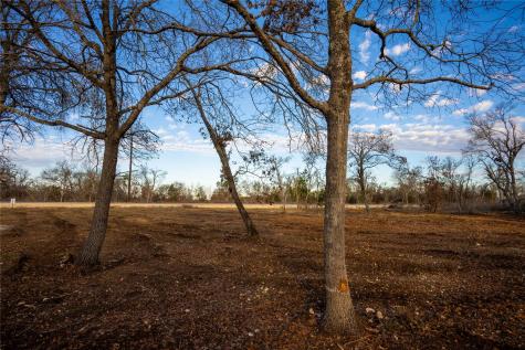Tbd Sawtooth Drive Bertram TX 78605