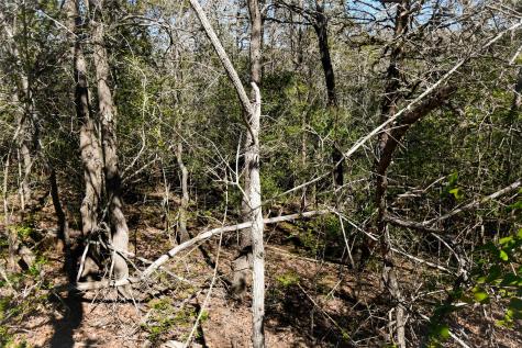 242 Iva Lane Bastrop TX 78602