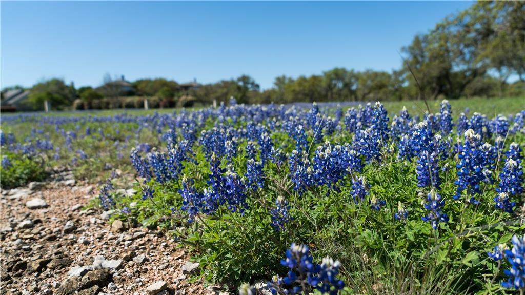 27213 Waterfall Hill Parkway Spicewood TX 78669
