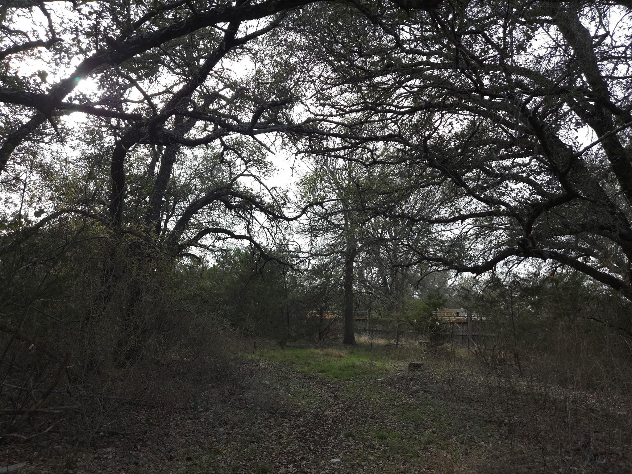 Tbd Oakland Road Georgetown TX 78633