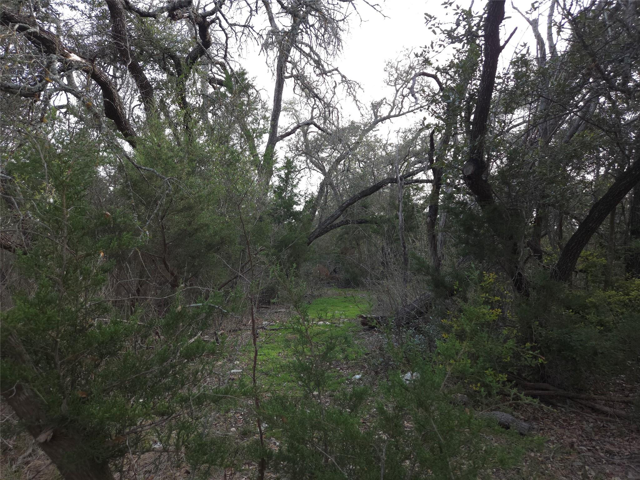 Tbd Oakland Road Georgetown TX 78633