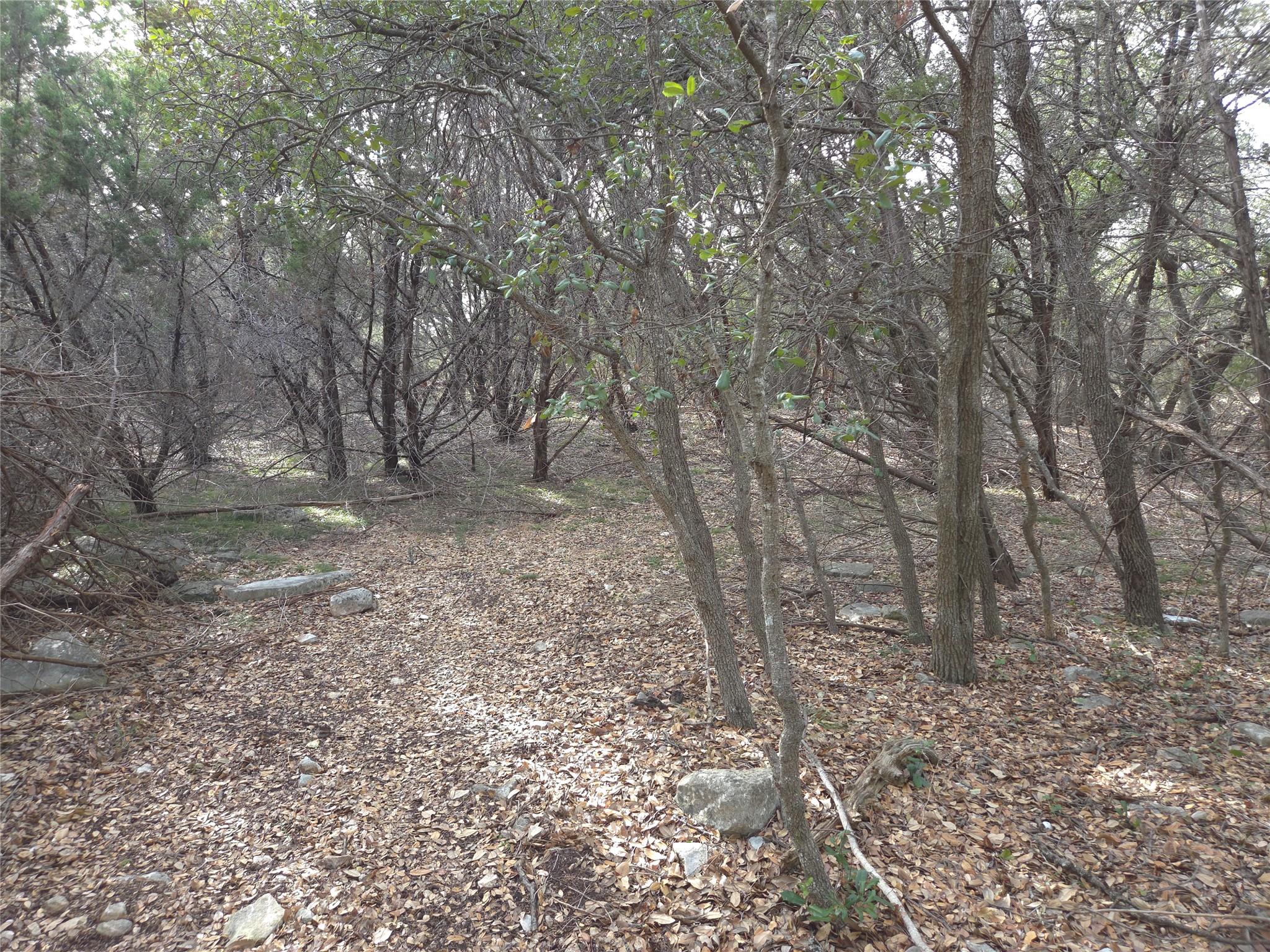Tbd Oakland Road Georgetown TX 78633