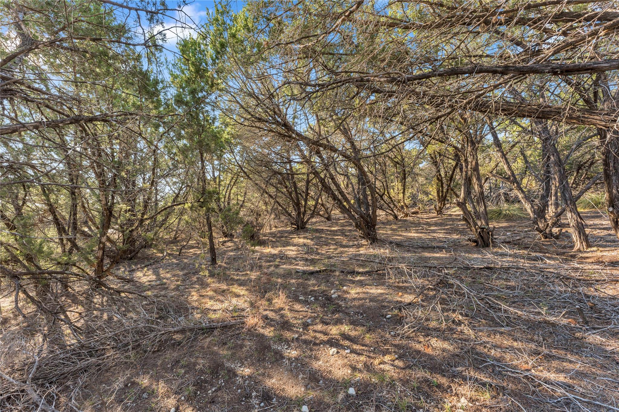 8614 Bar K Ranch Road Lago Vista TX 78645