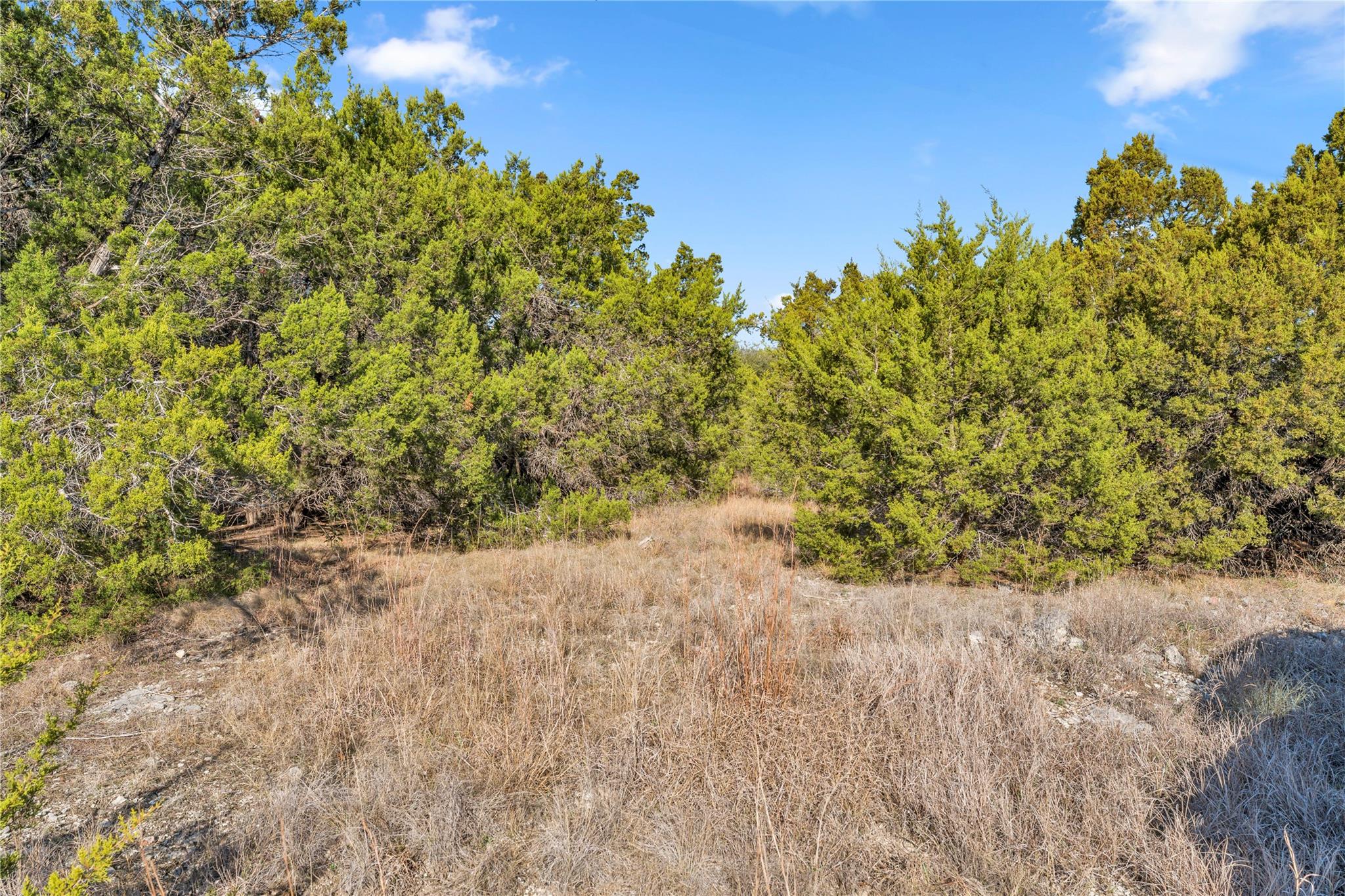 8614 Bar K Ranch Road Lago Vista TX 78645