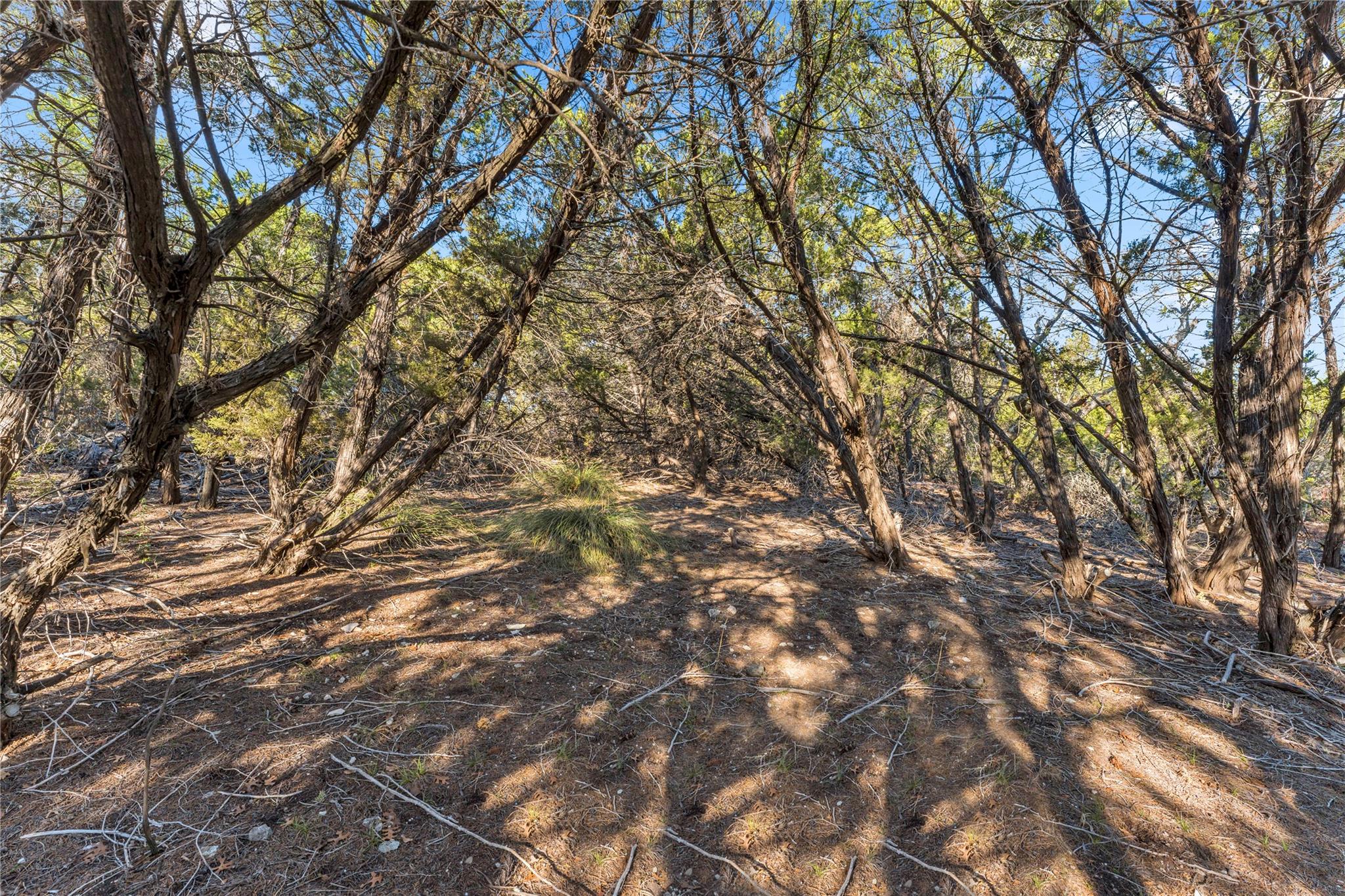 8614 Bar K Ranch Road Lago Vista TX 78645