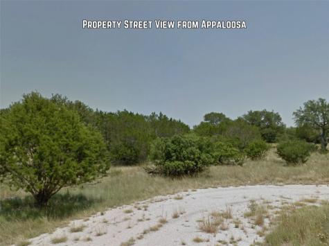 None Appaloosa Horseshoe Bay TX 78657