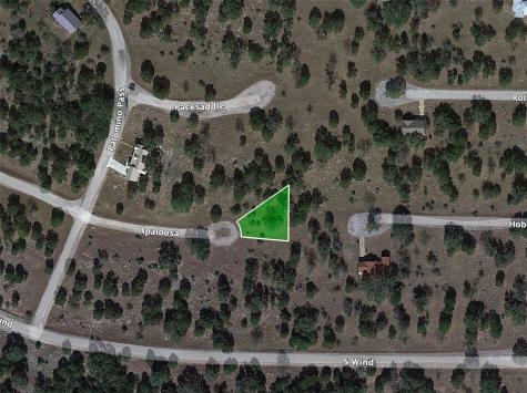 None Appaloosa Horseshoe Bay TX 78657