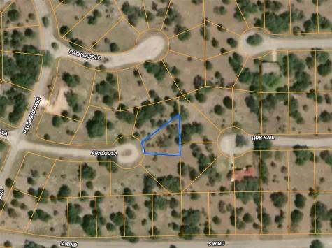 None Appaloosa Horseshoe Bay TX 78657