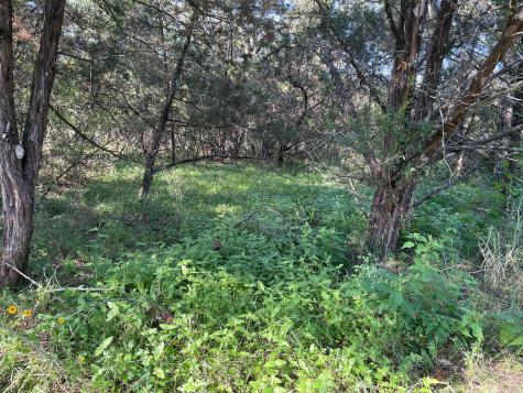 Lot 423 Indian Summer Spicewood TX 78669