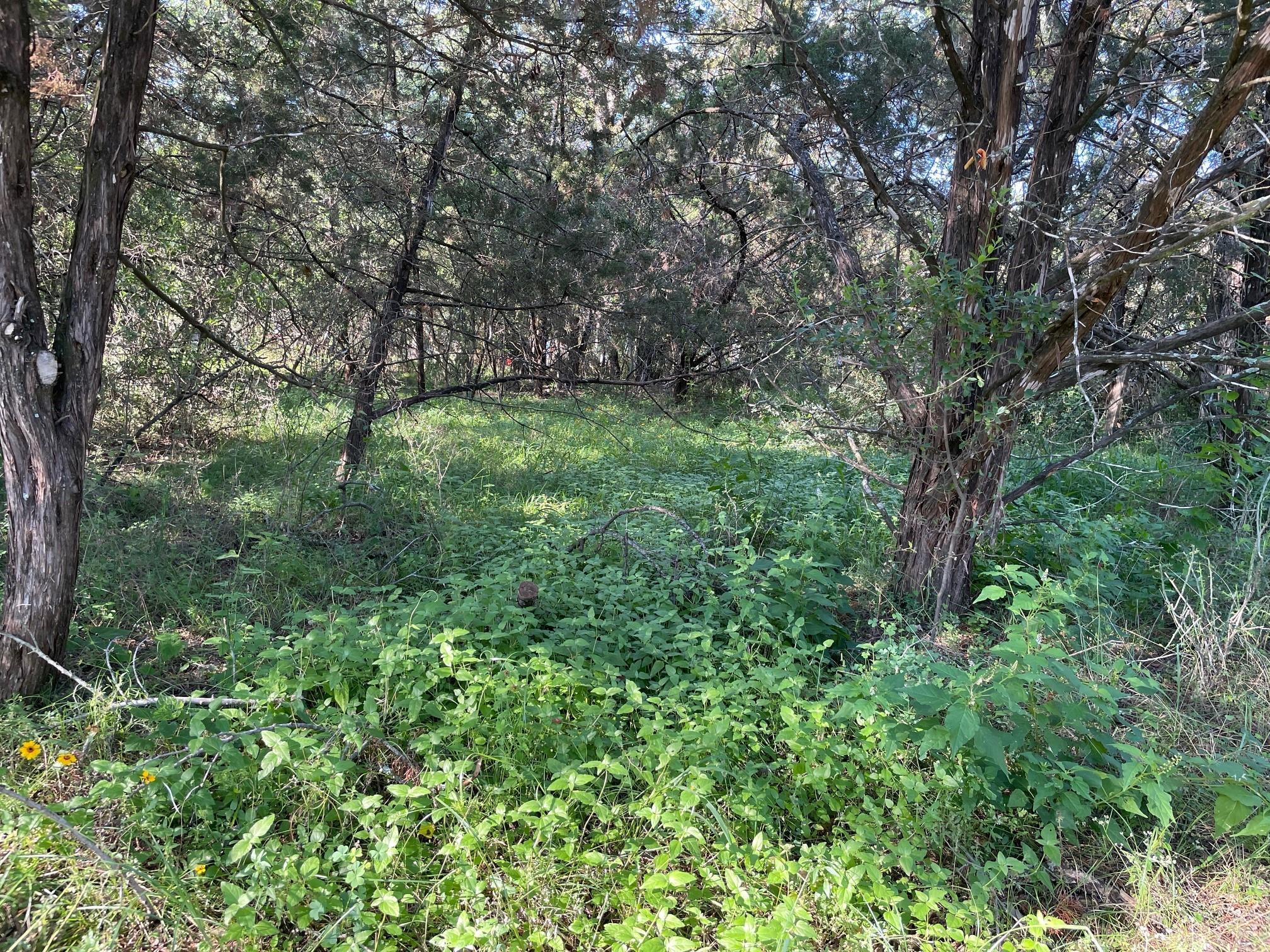 Lot 423 Indian Summer Spicewood TX 78669