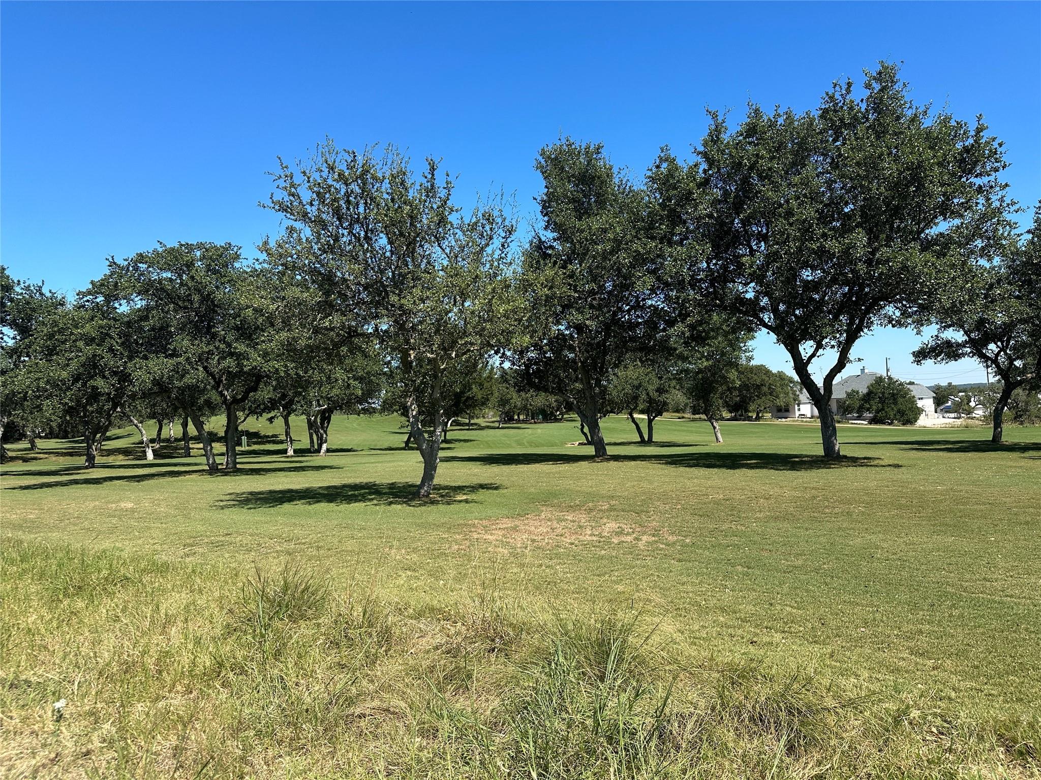 107 Bryan Marsh Blanco TX 78606