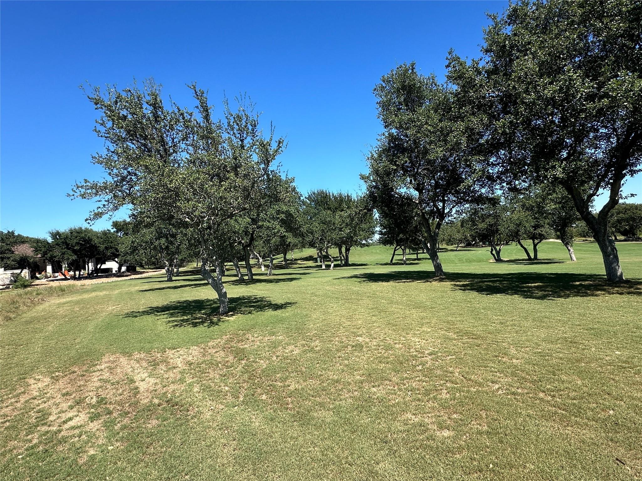 107 Bryan Marsh Blanco TX 78606