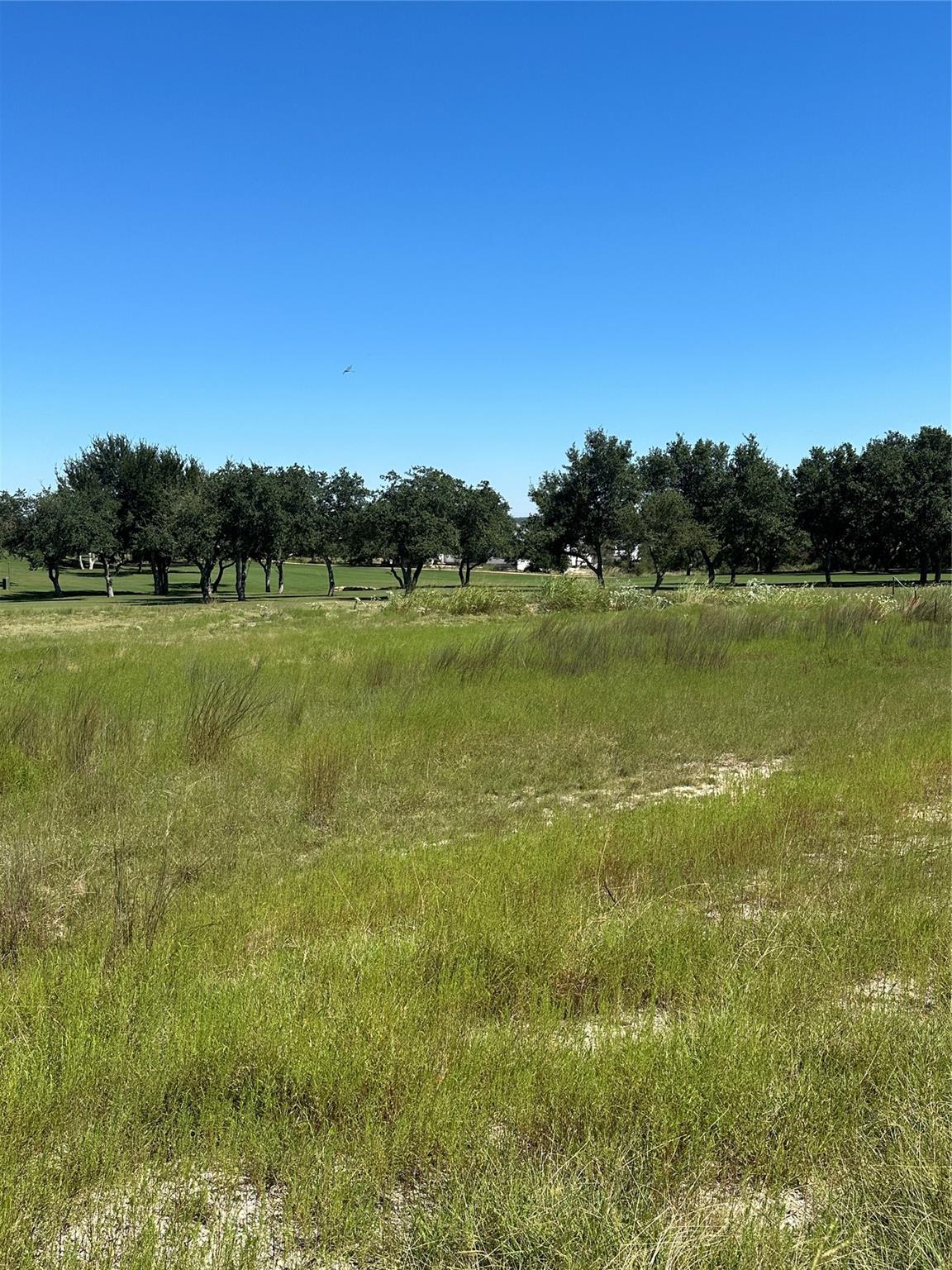 107 Bryan Marsh Blanco TX 78606