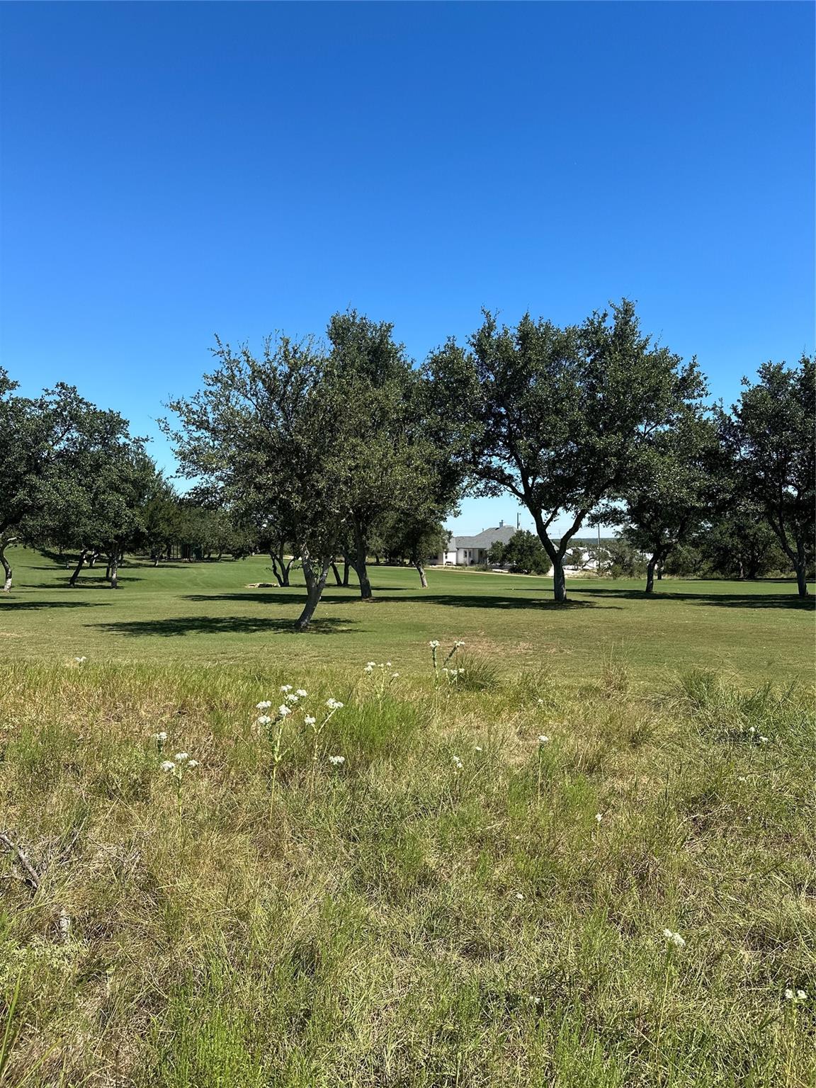 107 Bryan Marsh Blanco TX 78606