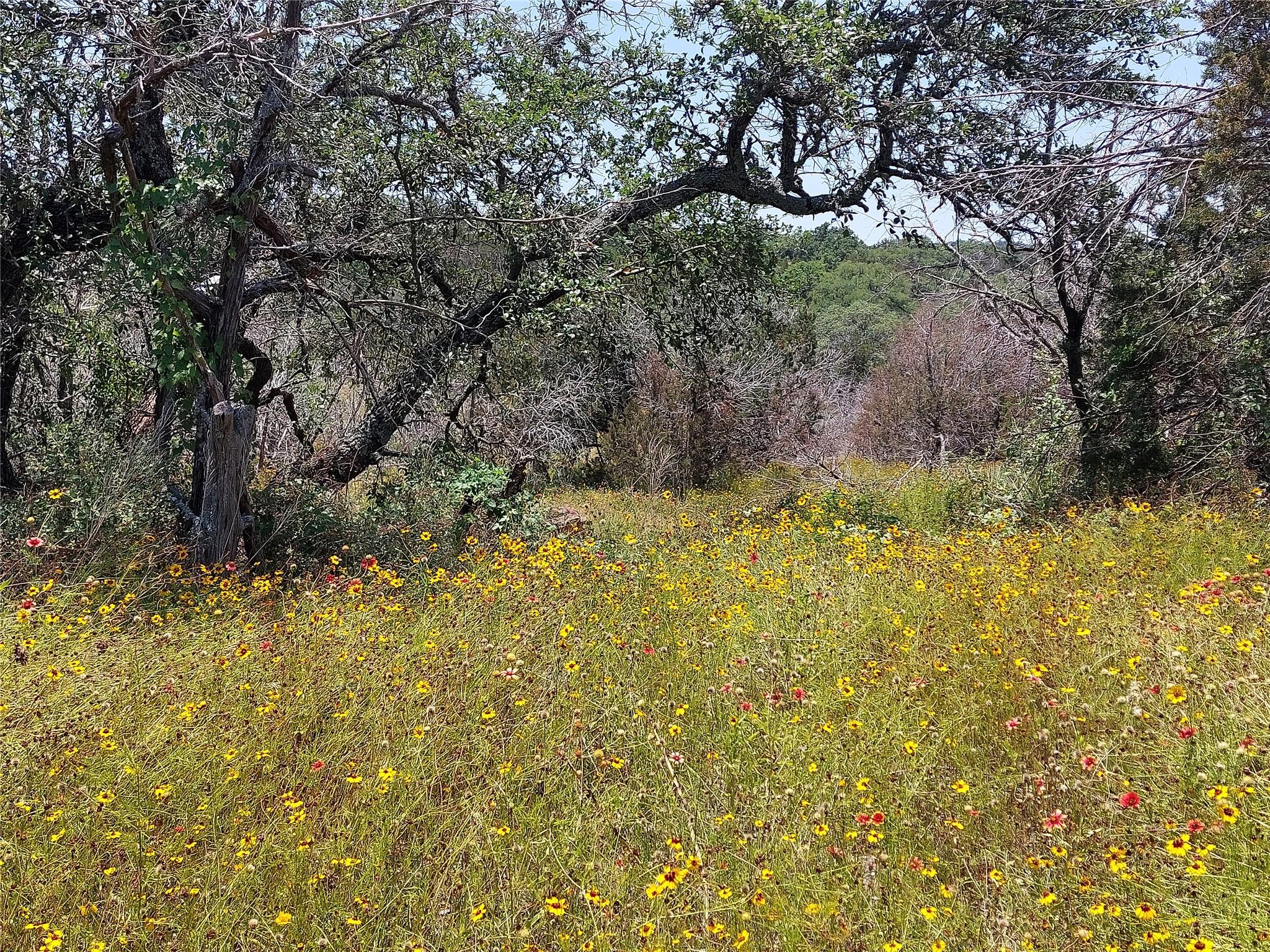 221 Yucca And Adjoining Lot Drive Burnet TX 78611