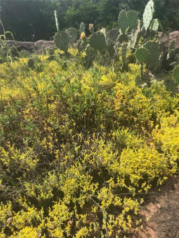 221 Yucca And Adjoining Lot Drive Burnet TX 78611
