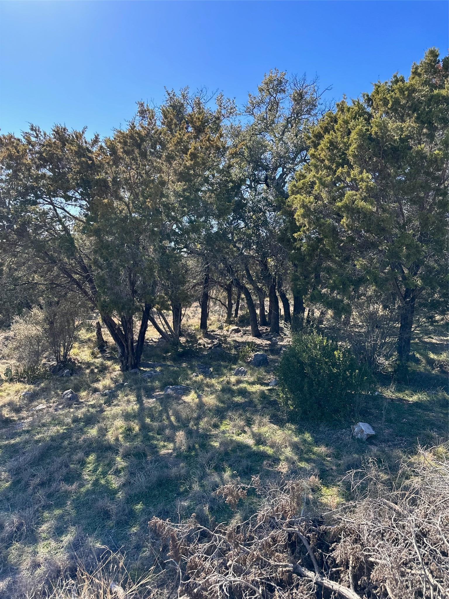 Lot 27082 Mustang Drive Horseshoe Bay TX 78657