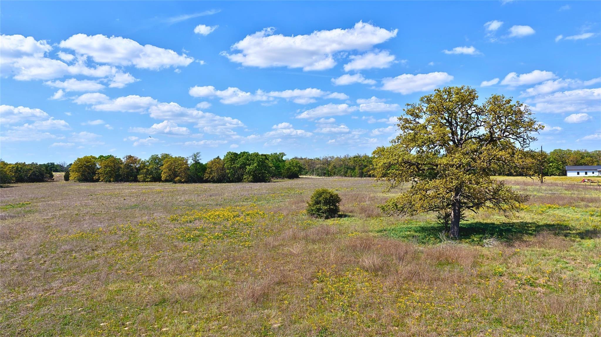 Tbd Legacy Road (5.41 Acres) Caldwell TX 77836