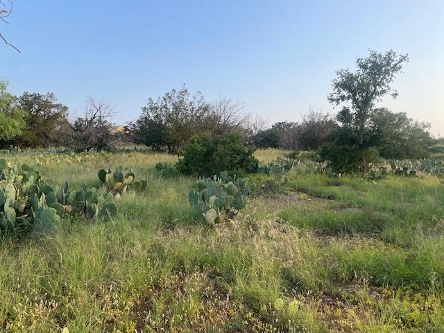 Lot 23 Cr 140 Burnet TX 78611