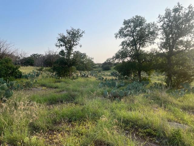 Lot 23 Cr 140 Burnet TX 78611