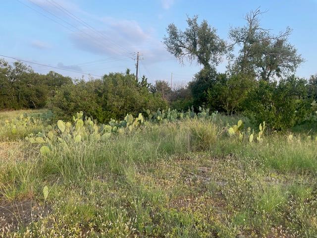 Lot 23 Cr 140 Burnet TX 78611