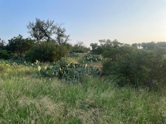 Lot 23 Cr 140 Burnet TX 78611