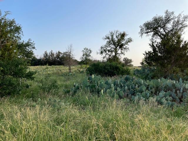 Lot 23 Cr 140 Burnet TX 78611