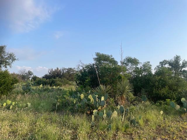 Lot 23 Cr 140 Burnet TX 78611