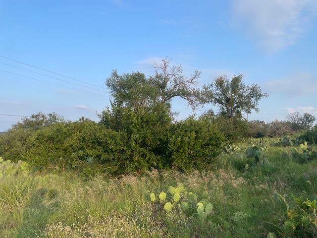 Lot 23 Cr 140 Burnet TX 78611
