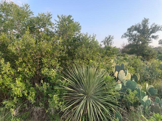Lot 23 Cr 140 Burnet TX 78611