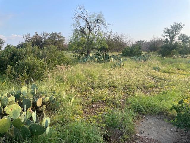 Lot 23 Cr 140 Burnet TX 78611