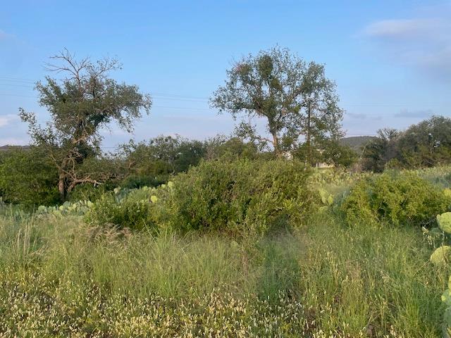 Lot 23 Cr 140 Burnet TX 78611
