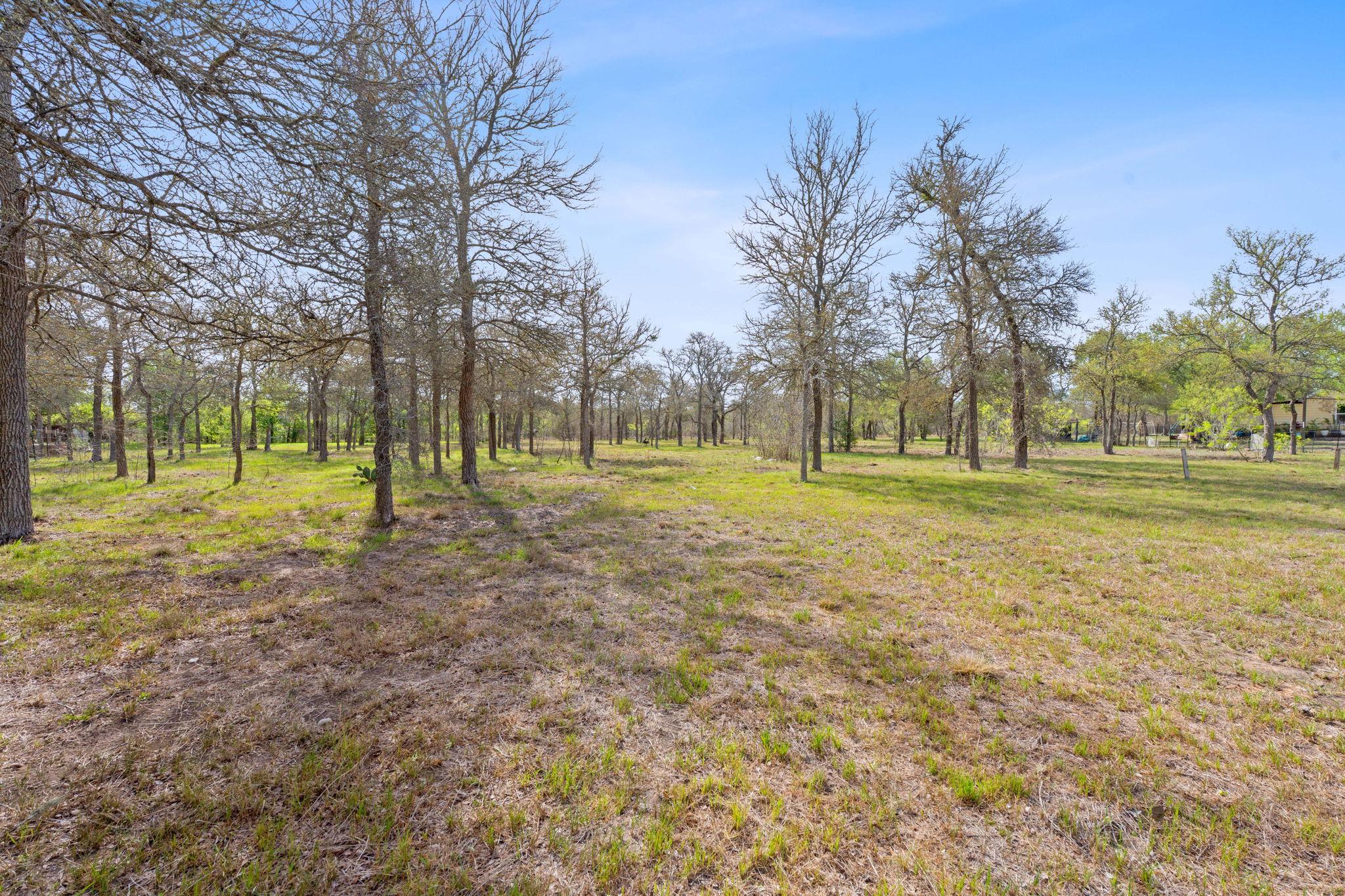115 Pena Court Del Valle TX 78617