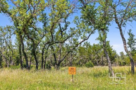 59 Balcones Drive Johnson City TX 78636