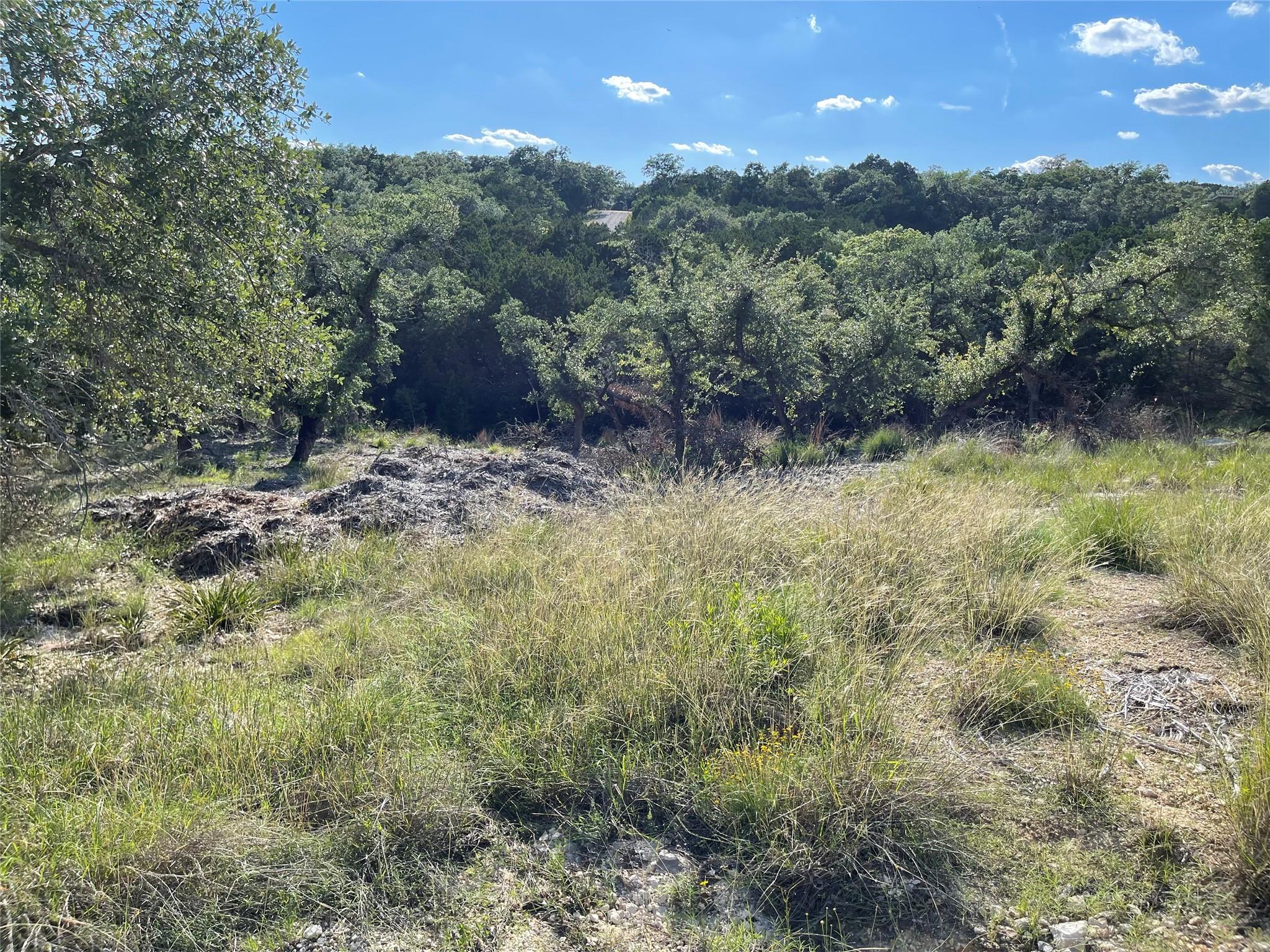 3008 Marshall Avenue Lago Vista TX 78645