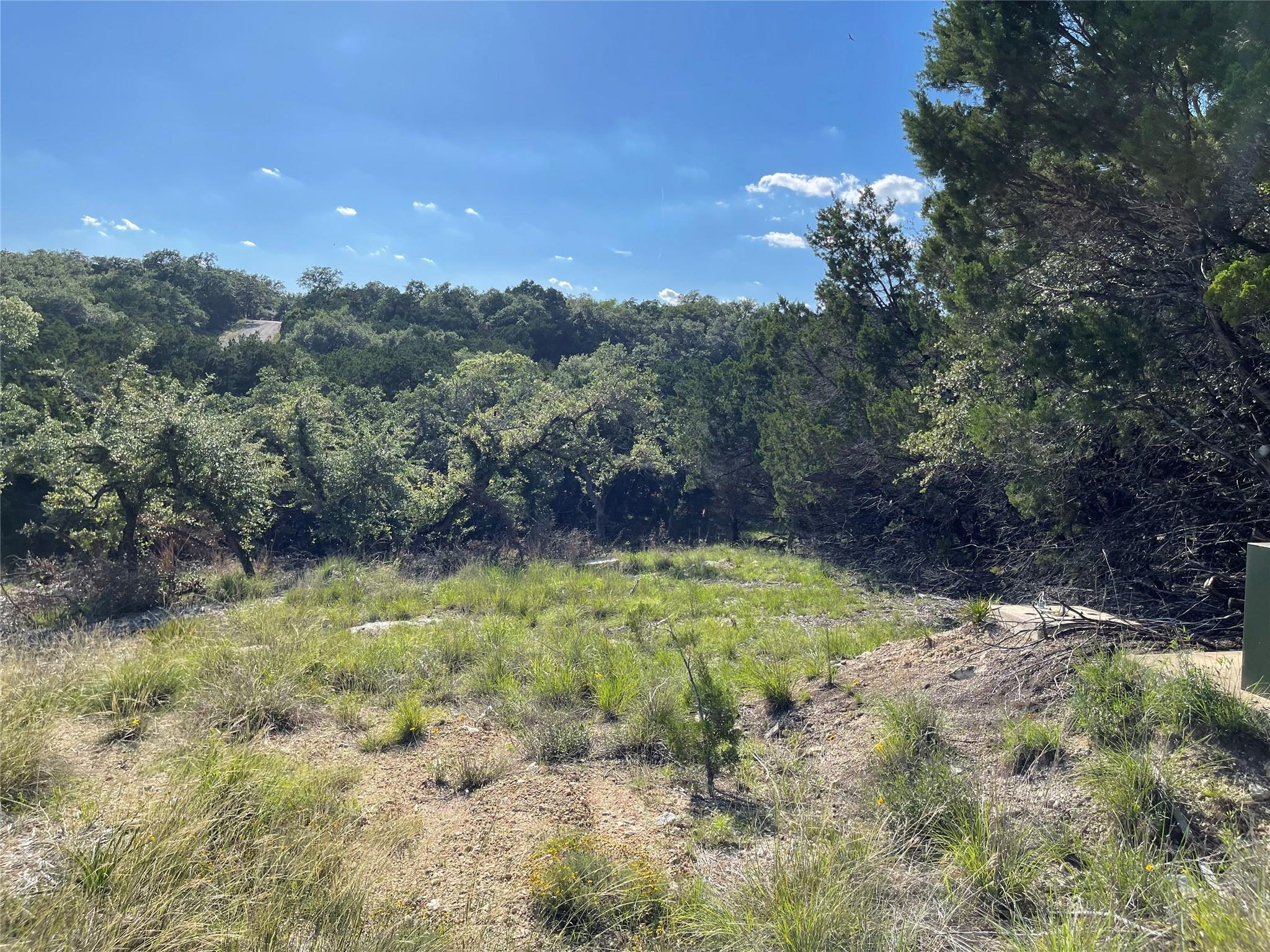 3008 Marshall Avenue Lago Vista TX 78645