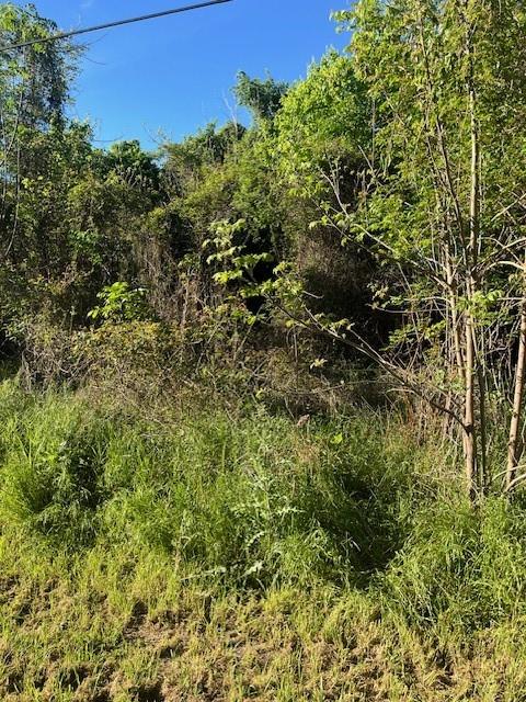 171 Kahana Lane Bastrop TX 78602