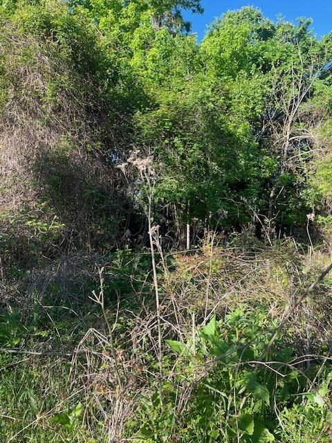 171 Kahana Lane Bastrop TX 78602