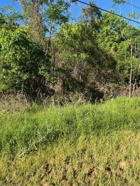 171 Kahana Lane Bastrop TX 78602