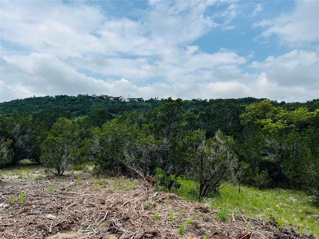 21603 Wyoming Pass Lago Vista TX 78645
