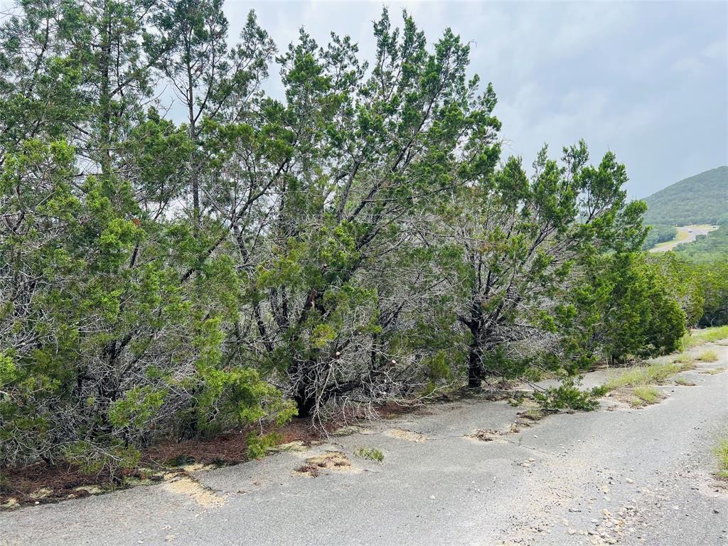 21603 Wyoming Pass Lago Vista TX 78645